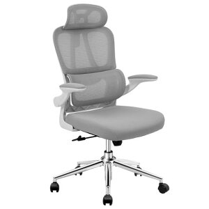 FLEXISPOT �I�t�B�X�`�F�A �f�X�N�`�F�A OC6 �l�ԍH�w ���b�V���`�F�A �Ɨ��^�����o�[�T�|�[�g ���b�L���O���� ���яグ���A�[�����X�g 2D�w�b�h���X�g �ݑ�Ζ� ��c�� �I�t�B�X�p (OC6, �z���c