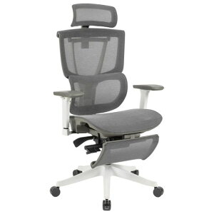 FLEXISPOT �I�t�B�X�`�F�A �f�X�N�`�F�A C7 �l�ԍH�w �G���S�m�~�N�X�`�F�A ���b�V���`�F�A �Ɨ��^�����o�[�T�|�[�g ���N���C�j���O�\ �V���N�����b�L���O ���i�K�Œ� �O�X�`���g�@�\ ���c