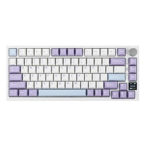 EPOMAKER Ajazz AK820 Pro �Q�[�~���O�L�[�{�[�h 75% �K�X�P�b�g���� ���J�j�J���L�[�{�[�h TFT�X�N���[�� 3���[�h(Bluetooth 5.1/2.4G���C�����X&Type-C�L��) �����t�H�[������ (White