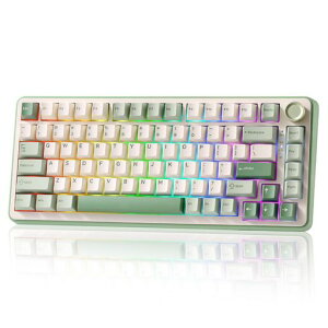 YUNZII B75 PRO 75% �K�X�P�b�g�Q�[�~���O�L�[�{�[�h �������J�j�J���L�[�{�[�h BT/2.4G/�L�� ���C�����X �z�b�g�X���b�v ���� RGB �m�u�t���J�X�^���L�[�{�[�h Mac/Win�p �Z�K�F�؎擾 (�O���[��, �c