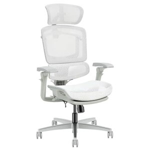 FLEXISPOT �I�t�B�X�`�F�A �f�X�N�`�F�A C7 �l�ԍH�w �G���S�m�~�N�X�`�F�A ���b�V���`�F�A �Ɨ��^�����o�[�T�|�[�g ���N���C�j���O�\ �V���N�����b�L���O 3�i�K�Œ� �w������ ���ʉ��s���c