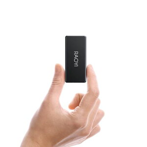 RAOYI �O�t��SSD 250GB USB3.1 Gen2 �~�jSSD �|�[�^�u��SSD �]�����x550MB/�b(�ő�) Type-C�ɑΉ� PS4/���b�v�g�b�v/X-box�ɓK�p �����^�E������ �ϏՌ� �h�H ��