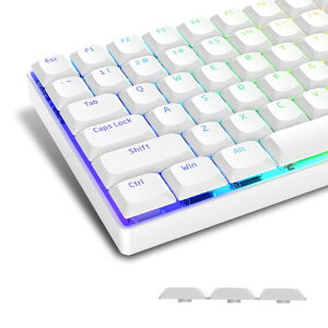 Womier ���[�v���t�@�C�� PBT �L�[�L���b�v �t���Z�b�g�A60% 65% 75% 100% �L�[�{�[�h�Ή��ACherry Gateron MX �X�C�b�`�݊� (����)