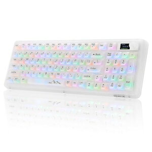 OUSEITECH X EWEADN V99 �Q�[�~���O�L�[�{�[�h ���J�j�J�� �����L�[�{�[�h �����L�[�L���b�v 98�L�[ ���C�����X �z�b�g�X���b�v�Ή� RGB�o�b�N���C�g BT5.0/2.4G/USB-C �K�X�P�b�g����