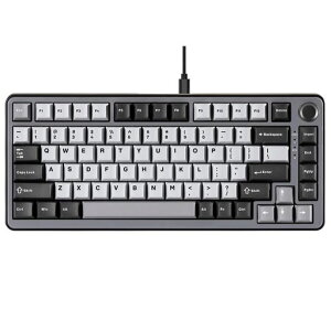 YUNZII RT75 ���s�b�h�g���K�[ �L�[�{�[�h ���J�j�J�� TKL �Q�[�~���O ���C�X�C�b�` RGB �L�� USB �R���p�N�g 75%�z��m�u�t��PBT �L�[�L���b�v ���߉\�쓮 (��, ���C�X�C�b�`)