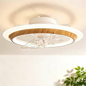 �y�I�V�������f���zTENKOO&YOU �V�[�����O�t�@�����C�g ������ 6~8�� ��56cm 4000lm 60W led �t�@���t���Ɩ� �T�[�L�����[�^�[ 150W���� ��@�y���t��]�E�Ă��~������ UP�zAPP���� 2.4G�����R���t��