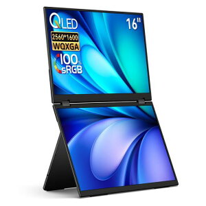 EHOMEWEI �f���A�����j�^�[ 16�C���` QLED 2.5K 2560x1600 �f���A���f�B�X�v���C �܂肽���� �~���[�����O �g�� ���^ 6mm XQ-160NW