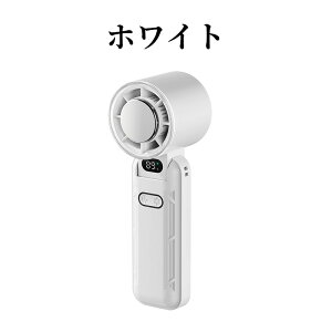 莝@ USBt@ gѐ@ nfBt@ pv[gt }p 100iKʒ 莝Ղ ^y LEDfBXvC\ 3600mAhe N[[@\  Type-C}[