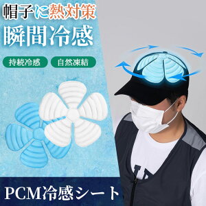 wSNSb聚x⊴ wbhN[  Ђ ACXLbv}bg p⊴ Xqpbh ACX wbgCi[ wbhN[ N[pbh ۗ܃Lbv Xq ۗ wbg 
