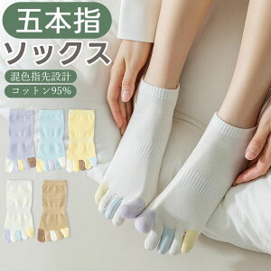 y5ZbgzC ܖ{w\bNX fB[X tďHp Xj[J[ ԂC  X|[cp jO\bNX V[g  JWA Rbg   Ȃ H~5