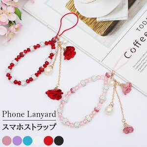 y2ZbgzX}zXgbv  gуXgbv XgXgbv L[z_ X}C[ 킢  h~ Yꕨh~ y ϋv S@Ή r[` ̎q K[Y  