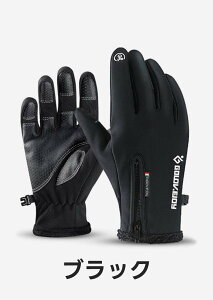 AEghAO[u h hO[u  h h oCN X|[cO[u AEghA ] TCNO ނ oR AEghA X|[c N ۉ h ^b`pl X}z