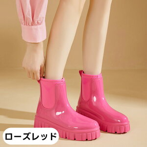 CV[Y fB[X Y Cu[c y h EFbW\[  JC C y hV[Y IV V[gu[c K[fjO ~[C ނ Ԍ ~J΍ ʋ 