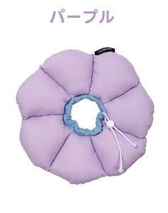 GUxXJ[ ӂӂ Lp \tg RۃJ[ p GUxXJ[ \tg Rbg h PPRbg y p㏝ی rߖh~ ?h~ EHWȂ F