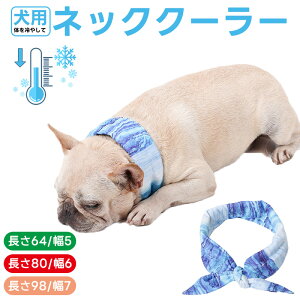 p lbNN[[ ₷ ybgp⊴ ₷ U MǑ΍ ΍ ^ ^ Ή ybgObY ybgpi XJ[t Ђ ObY N[ u p  U 