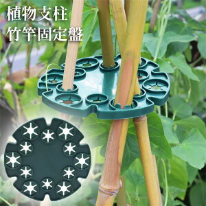 y2Zbgz̒|gC |Az_[RlN^ Ax |ƌŒ 2{gZbg Ԃ XChx ϗtx Ԏx K[fjOpx 鐫A Ԏx |x A 