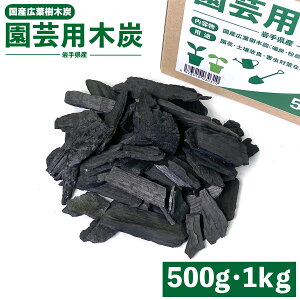 yYLtؒYz |pؒY 茧Y 500gE1kg 2`5cmx x_ | K[fjO