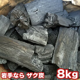 岩手 なら ザク炭 8kg 袋入り 岩手県産 キャンプ バーベキュー BBQ 消臭 火鉢 囲炉裏 炭 国産木炭 川遊び ロッジ レジャー 行楽 安全 安心 8kg