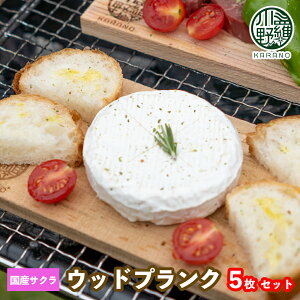 업(Karano) o[xL[p EbhvN YTN 5Zbg BBQ AEghA Lv ē  W[