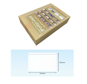 デリバリーパック 伝票袋 PAー004T(A4サイズ用)1000枚 完全密封タイプ ミシン目開封 全面糊 無地 250×315mm パピルスカンパニー