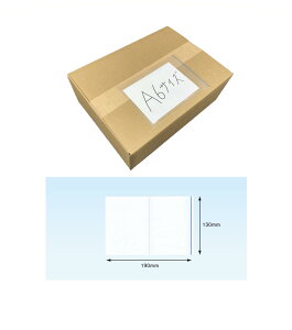 デリバリーパック 伝票袋 PAー037T(A6サイズ用)2000枚 ポケットタイプ 全面糊 無地 130×190mm パピルスカンパニー