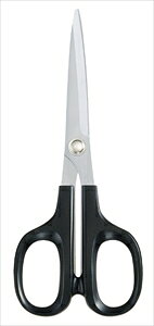 RN nT~ HASA EHp HASA-003