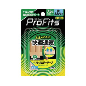 sbv vtBbcLlVIW[e[v@Ep@75mm×4D5m 666732