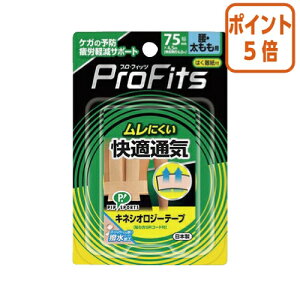 101617|Cg5{ sbv vtBbcLlVIW[e[v@Ep@75mm×4D5m 666732