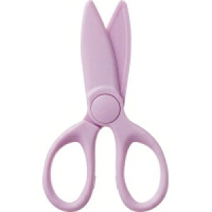 RN RN̂͂߂ănT~EpXeCbN nT-500LV