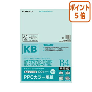 101617|Cg5{Rs[p RN PPCJ[pipj@FSCF؁@B4@100@64gā@ KB-C134NB