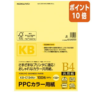 101617|Cg10{Rs[p RN PPCJ[pipj@FSCF؁@B4@100@64gā@ KB-C134NY