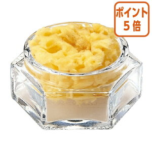 101617|Cg5{ RN pCȁ@a69×H27mm@KXeZbg N-10