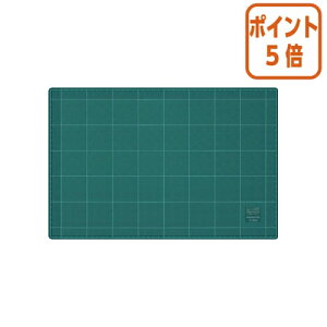 101617|Cg5{ RN JbeBO}bg@ʎdl@@300×450mm@O[ }-42N