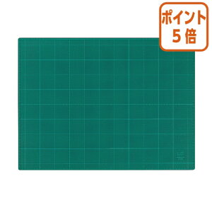 101617|Cg5{ RN JbeBO}bg@ʎdl@@450×600mm@O[ }-43N