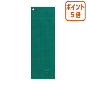 101617|Cg5{ RN JbeBO}bg@ʎdl@@450×150mm@O[ }-41