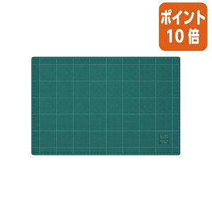 101617|Cg10{ RN JbeBO}bg@ʎdl@@300×450mm@O[ }-42N