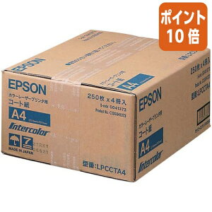 82517|Cg10{ Gv\ J[[U[v^p@R[g@250×4@A4 LPCCTA4