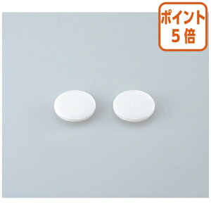 101617|Cg5{p` RN ̓p`inj@F10 PN-31B