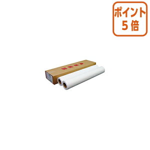 101617|Cg5{ NB 唻CNWFbgpEʎ 594mm×50m A1[ 2{ IJNMSA1