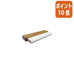 101617|Cg10{ NB 唻CNWFbgpEʎ 841mm×50m A0[ 2{ IJNMSA0