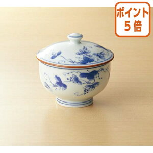 101617|Cg5{ aR Ԃǂo@5qZbg NN-50774