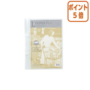 101617|Cg5{t@C qgu [p[t@C@A4c@2@@100Ƃ F3006j