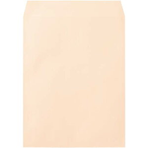 LOR[|[V Hi\tgJ[@p3@sN@100 K3S100P