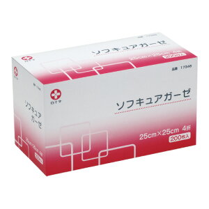 \ \tLAK[[@25cmX25cm@4܁@200 173460