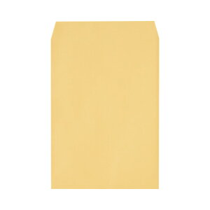 �L���O�R�[�|���[�V���� �Ɩ��pHi�\�t�g�J���[�����@�p2�@500�����@�I�����W 160212