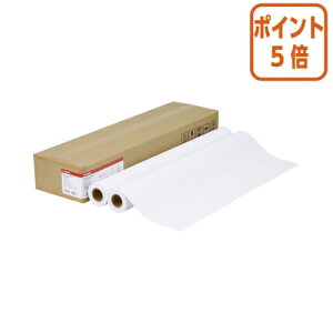 ��12��5��17�����������|�C���g5�{�� �L���m�� �L���m���@IJP�p���@�v���~�A�����ʎ��@610mm×50m�@80g�^m2�@2�{ LFM-PPP/24/80