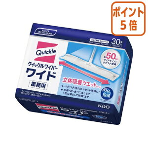 101617|Cg5{ ԉ NCbNCp[@Ɩp@̋zEFbgV[g@30 510440