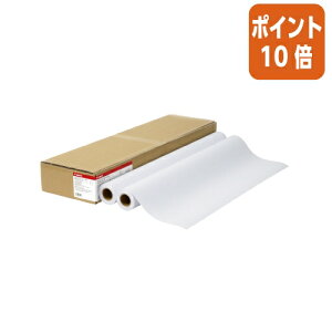 101617|Cg10{ Lm Lm唻pX^_[hʎ2@LFM|PPS2^A0^64 LFM-PPS2/A0/64