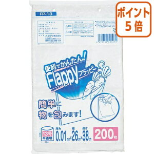 101617|Cg5{ IfB tbs[Ki܁@13@200 FP-13