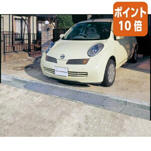 ★10月16日17時注文分よりポイント10倍★アイリスオーヤマ 段差プレート NDP−600E NDP-600E